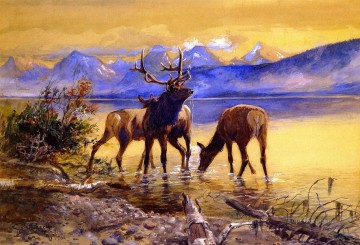 wapiti au lac mcdonald 1906 Charles Marion Russell cerf Peinture à l'huile